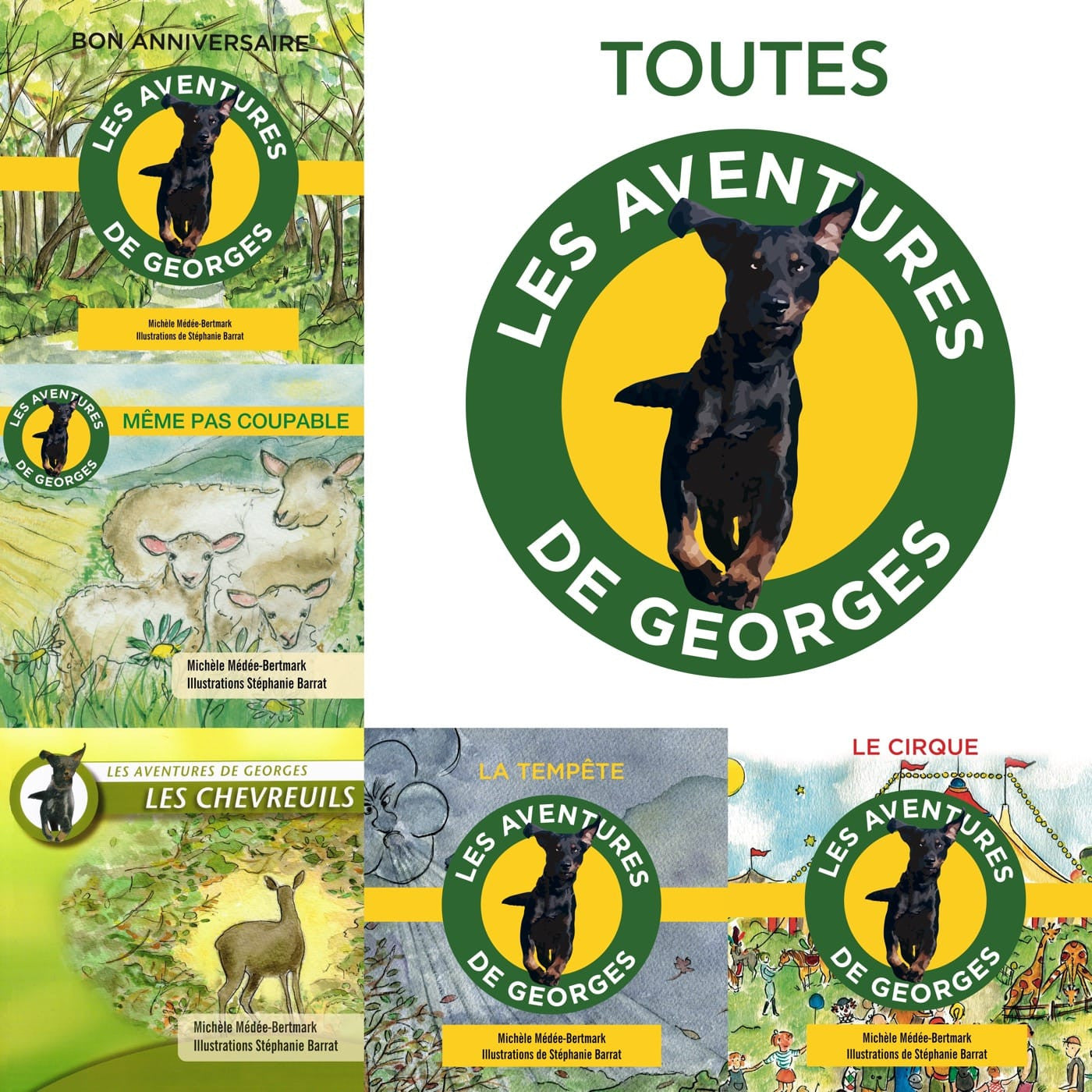 Toutes les aventures de Georges