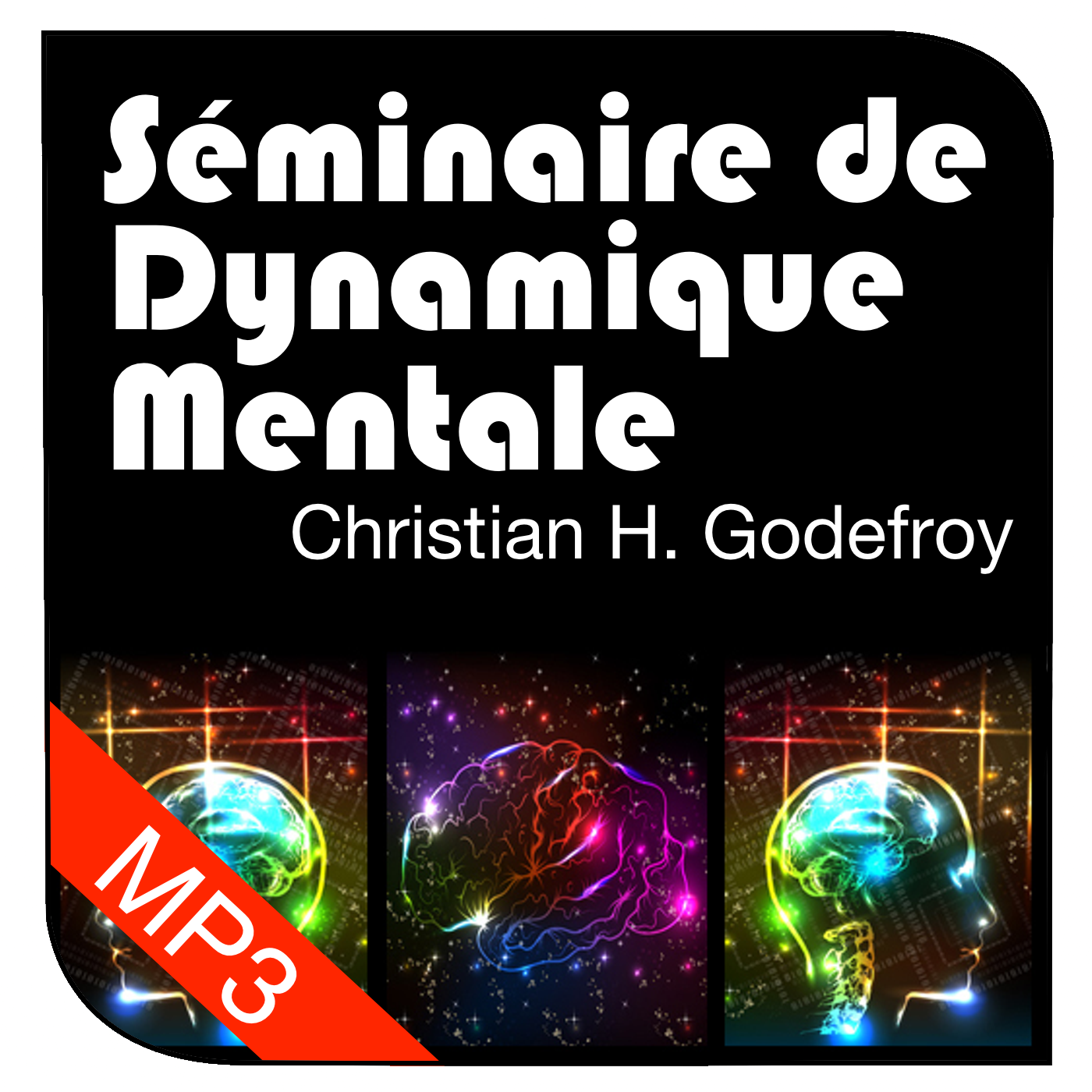 Mental Dynamics Seminar 